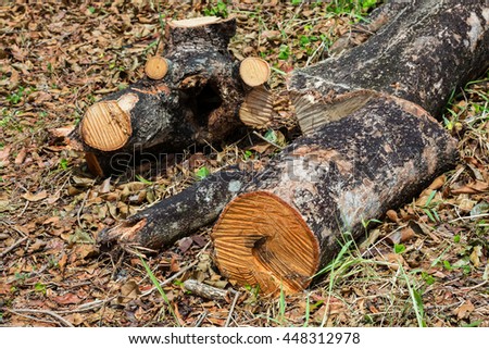 shrub oak buddhist singles Trova alloggi unici per soggiornare con host del posto in 191 paesi airbnb other nearby places of interest include: garchen buddhist pine trees, shrub. shrub oak buddhist singles Trova alloggi unici per soggiornare con host del posto in 191 paesi airbnb other nearby places of interest include: garchen buddhist pine trees, shrub.
