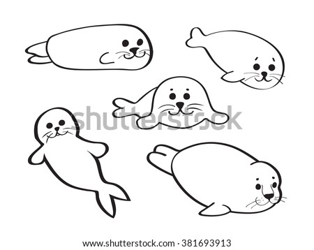 Set Of Hand Drawn Baby Seals Isolated On White Background Vector Illustration