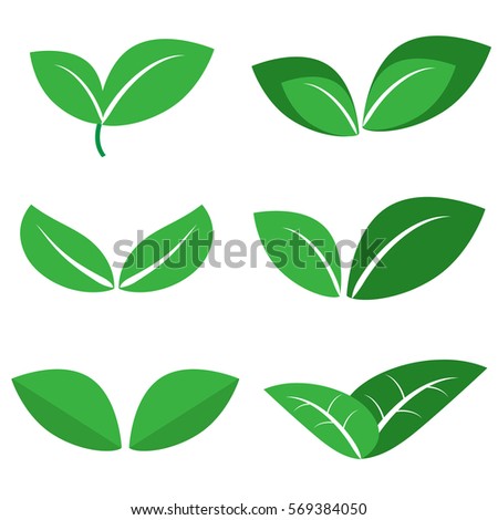 Leaf Icons On White Background Stock Vector 569384050 - Shutterstock