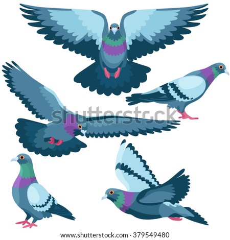 Pigeon Stock Vectors, Images & Vector Art | Shutterstock