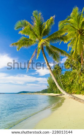 Beautiful Maui Beach On Bright Sunny Stock Photo 34948099 - Shutterstock