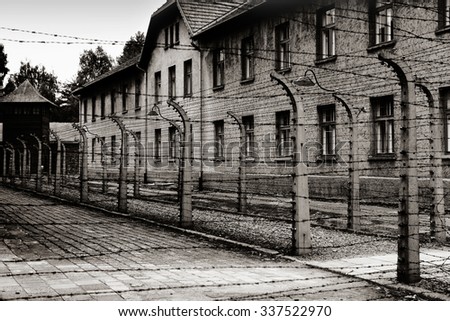 Auschwitz death camp essays