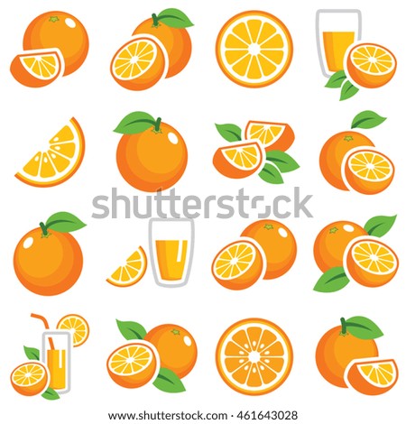 Orange fruit icon collection - color vector