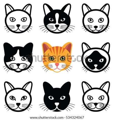 Cat Face Stock Images, Royalty-Free Images & Vectors | Shutterstock