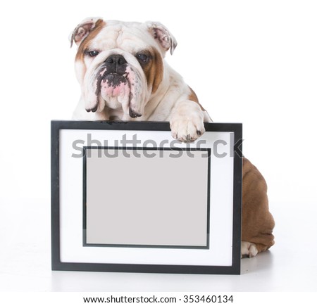 Black Paw Prints On White Stock Photo 8414278 Black Paw Prints On White Stock Photo 8414278