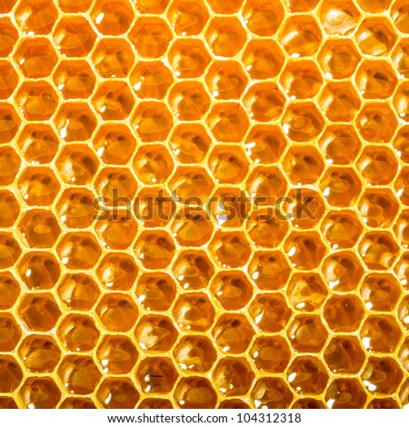 Honey Comb Stock Images, Royalty-Free Images & Vectors | Shutterstock