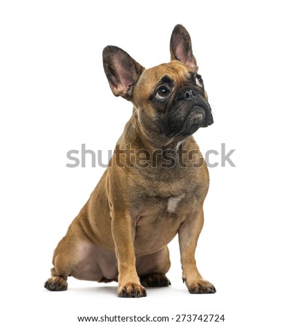 Stock Images, Royalty-Free Images & Vectors | Shutterstock Stock Images, Royalty-Free Images & Vectors | Shutterstock