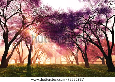 Japanese Garden Cherry Blossom Paintings pink tree stock images, royalty-free images & vectors | shutterstock Japanese Garden Cherry Blossom Paintings pink tree stock images, royalty-free images & vectors | shutterstock