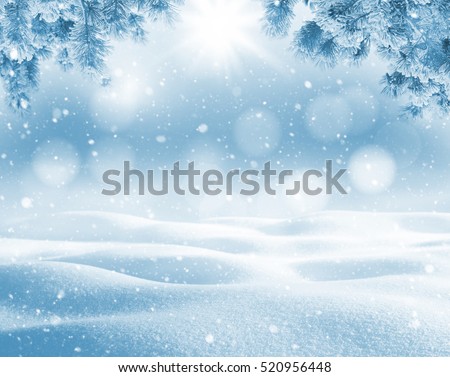 Winter bright background. Christmas landscape with snowdrifts and pine branches in the frost.