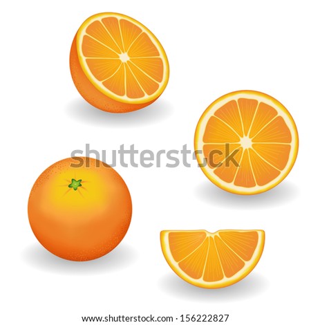 Oranges, four views: whole, half, slice, wedge. Fresh, natural, organic, vegetarian food. Graphic illustrations isolated on white background. EPS8 compatible