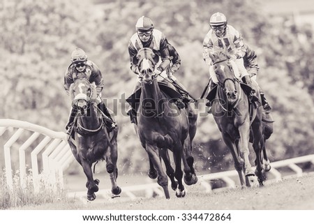 Horse Track Stock Images, Royalty-Free Images & Vectors 