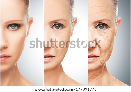 skin pores stock images royalty free images vectors skin pores stock images royalty free images vectors skin pores stock images royalty free images vectors skin pores stock images royalty free images vectors