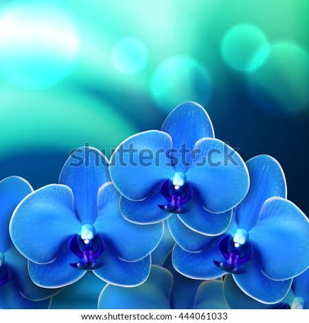 Blue Orchid Stock Images, Royalty-Free Images & Vectors | Shutterstock