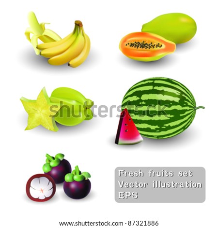 Fresh fruits set Vector Illustration