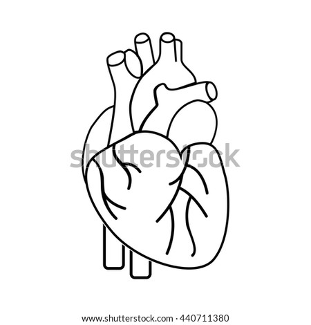 Healthy Heart Symbol Isolated Icon Design Stock Vector 440711380 ...