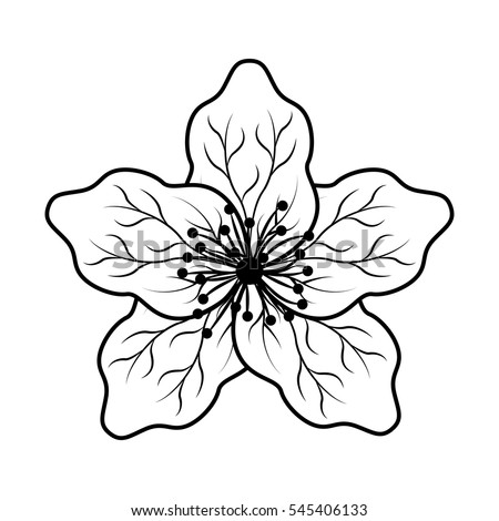cute japanese flower icon vector illustration design