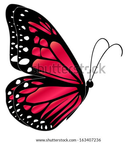 Download Illustration Red Butterfly Flying On White Stock Vector ...