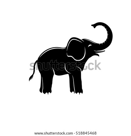 Download Elephant Trunk Stock Images, Royalty-Free Images & Vectors ...