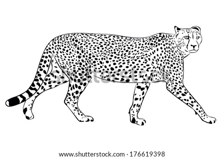 Black White Cheetah Illustration Stock Illustration 52590949 - Shutterstock