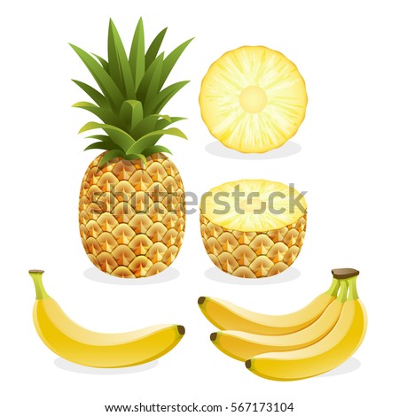 Pineapple and banana fruit. Vector illustration.
