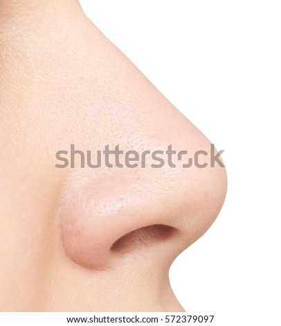  Nose  Stock Images Royalty Free Images Vectors 