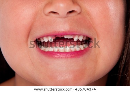28 teeth in an adult mouth 28 teeth in an adult mouth