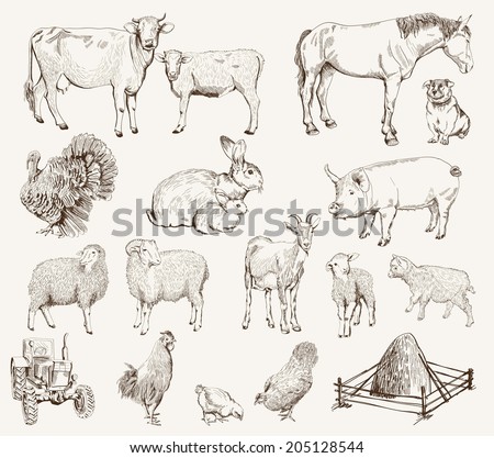 Farm Animals Set Vector Sketches On Stock Vector 190708094 - Shutterstock