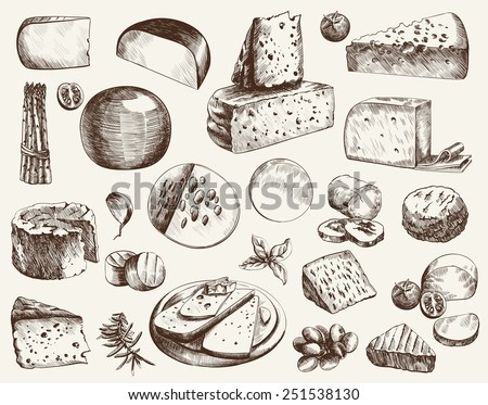 cheese making various types of cheese set of vector sketches on a white background