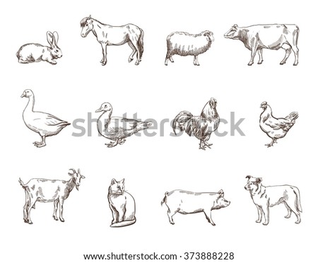 Farm Animals Set Vector Sketches On Stock Vector 190708094 - Shutterstock