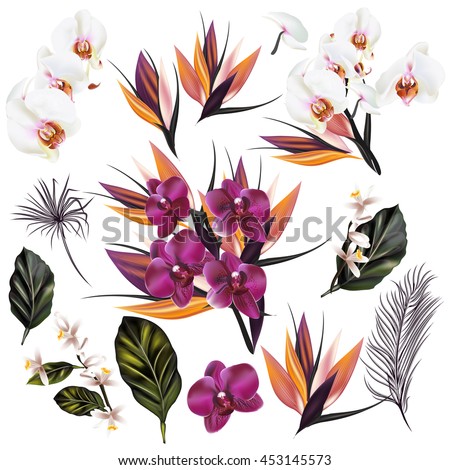 A collection of vector tropical plants orchids palm leafs and other flowers in realistic style