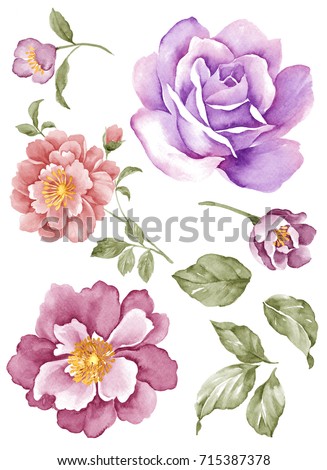 Vintage Fantasy Peony Spring Flowers Leaves Stock Illustration ...