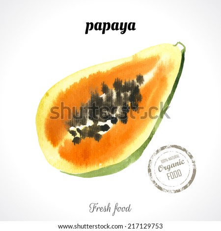 Watercolor papaya. Provencal style. Recent watercolor paintings of organic food. Fresh exotic fruit.