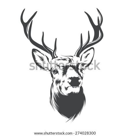  Drawing Deer Stock Images Royalty-Free Images Vectors 