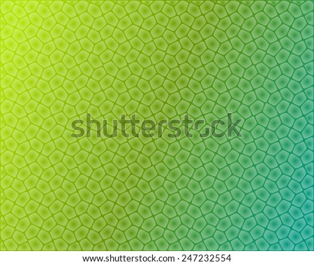 skin cells stock photos royalty free images vectors skin cells stock images royalty free images vectors skin cells stock photos royalty free images vectors skin cells stock images royalty free images vectors