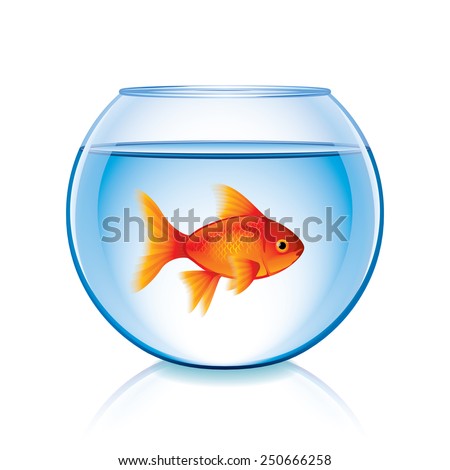 Goldfish in bowl isolated on white photo-realistic vector illustration