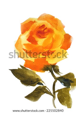 yellow rose watercolor hand-painted, isolated on white - stock photo