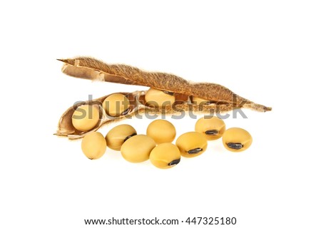 Soybean Stock Photos, Royalty-Free Images & Vectors - Shutterstock