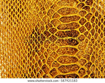 Snake Skin Texture Stock Images, Royalty-Free Images & Vectors ...