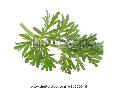 Sagebrush Stock Images, Royalty-Free Images & Vectors | Shutterstock