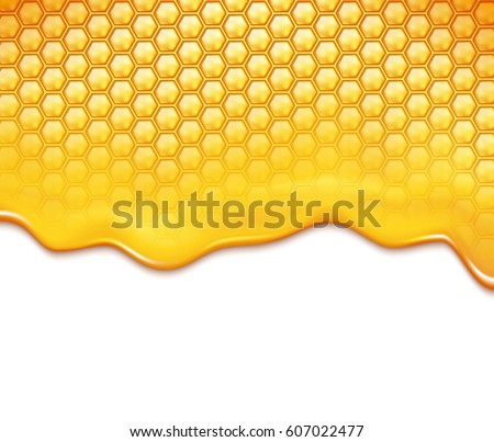 honeycomb and sweet honey drips
