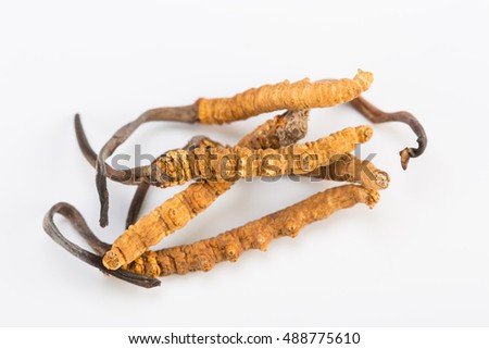 Ingredient used in Traditional Chinese Medicine - Himalayan gold Nepal isolated on white background