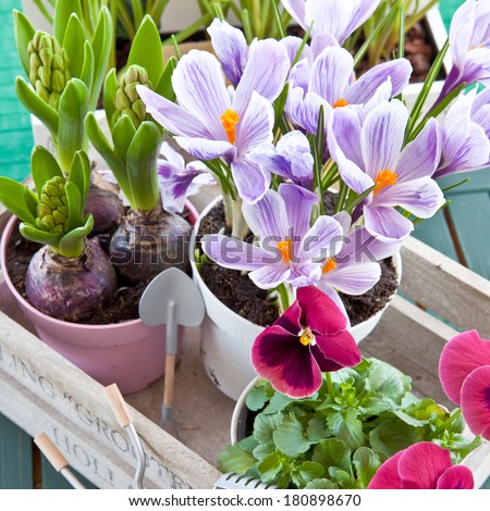 Stock Images similar to ID 71075488 - collection set of spring...