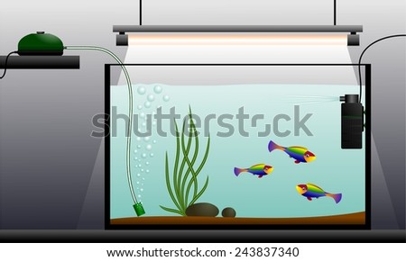 Aquarium. Schematic representation of the aquarium. Aquarium equipment. Vector illustration.