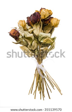 Dead Flowers Pictures, Images and Stock Photos - iStock Dead Flowers Pictures, Images and Stock Photos - iStock