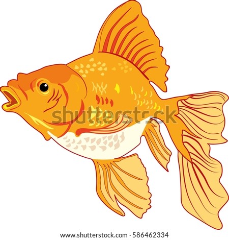 Realistic Detailed Vector Illustration Goldfish On Stock Vector ...