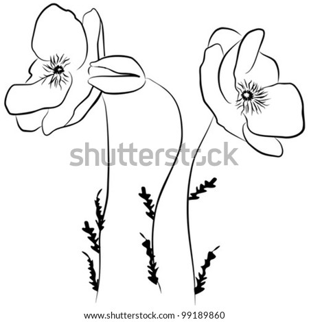 Black And White Poppy Flower Stock Photos, Images, & Pictures ...