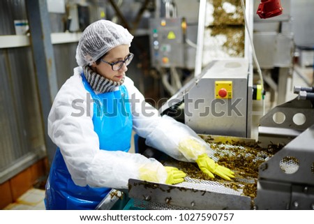 Young woman in uniform working on seaweed processing machine in food factory