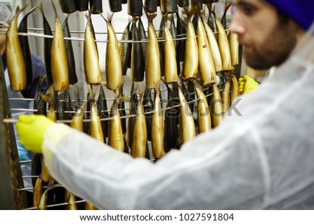 Young man taking smoked mackerels off iron wires in fish processing factory