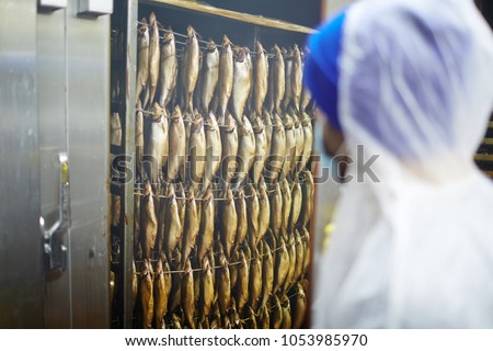 Several rows of smoked fish hanging on wires in smoker with staff in coveralls near by
