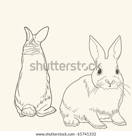 Rabbit Sketch Stock Images, Royalty-Free Images & Vectors | Shutterstock